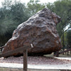 Asteroids, Comets, and Meteors: A Guide to Space Rocks in the Night Sky