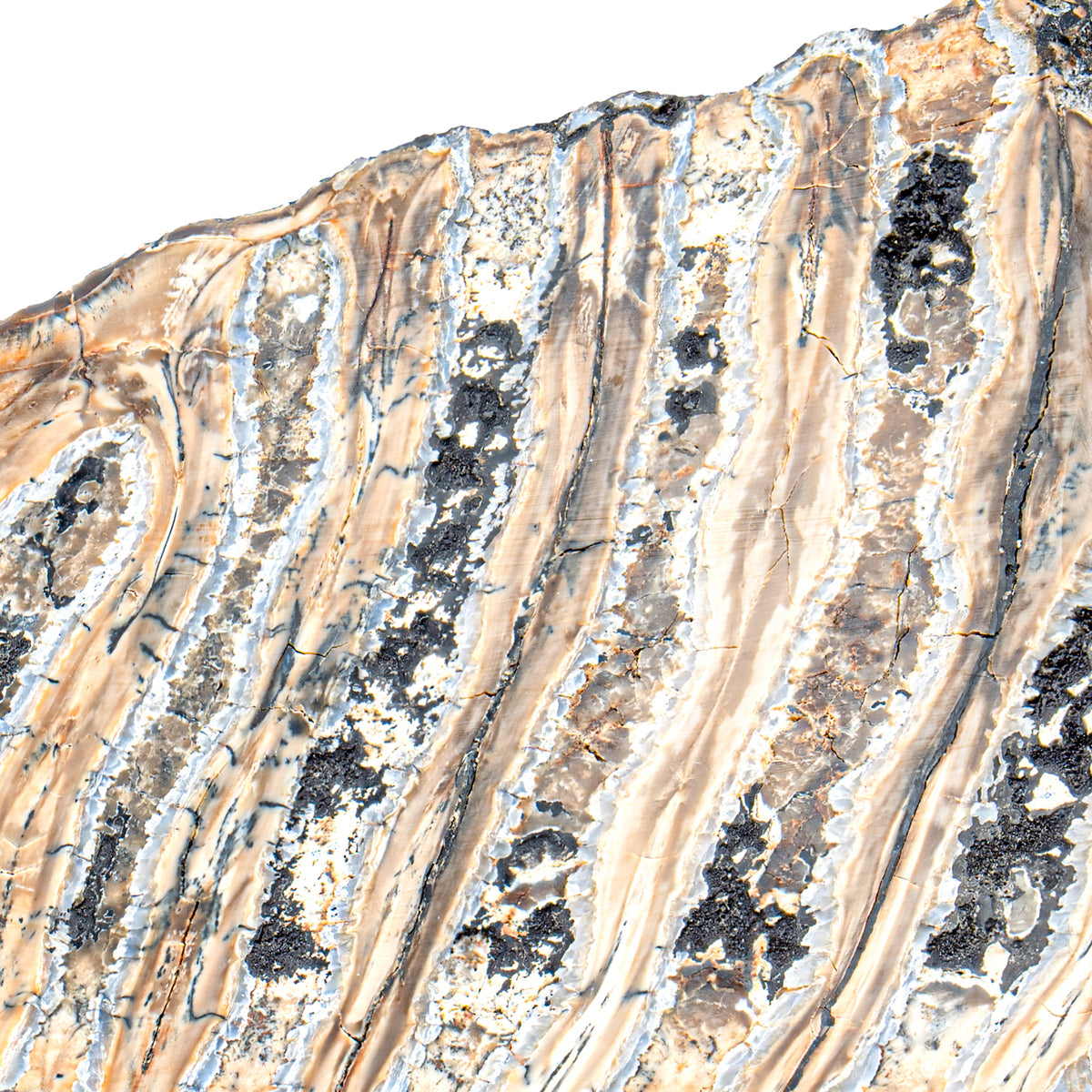 Largest uncut diamond was a mammoth gem - Geology In