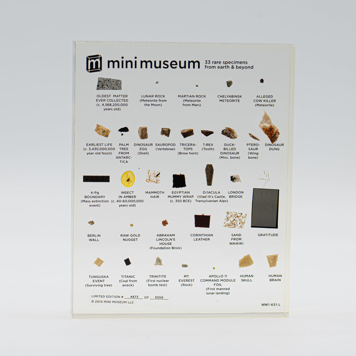 First Edition Collection (MM1 LARGE - 33 Specimens) - Mini Museum