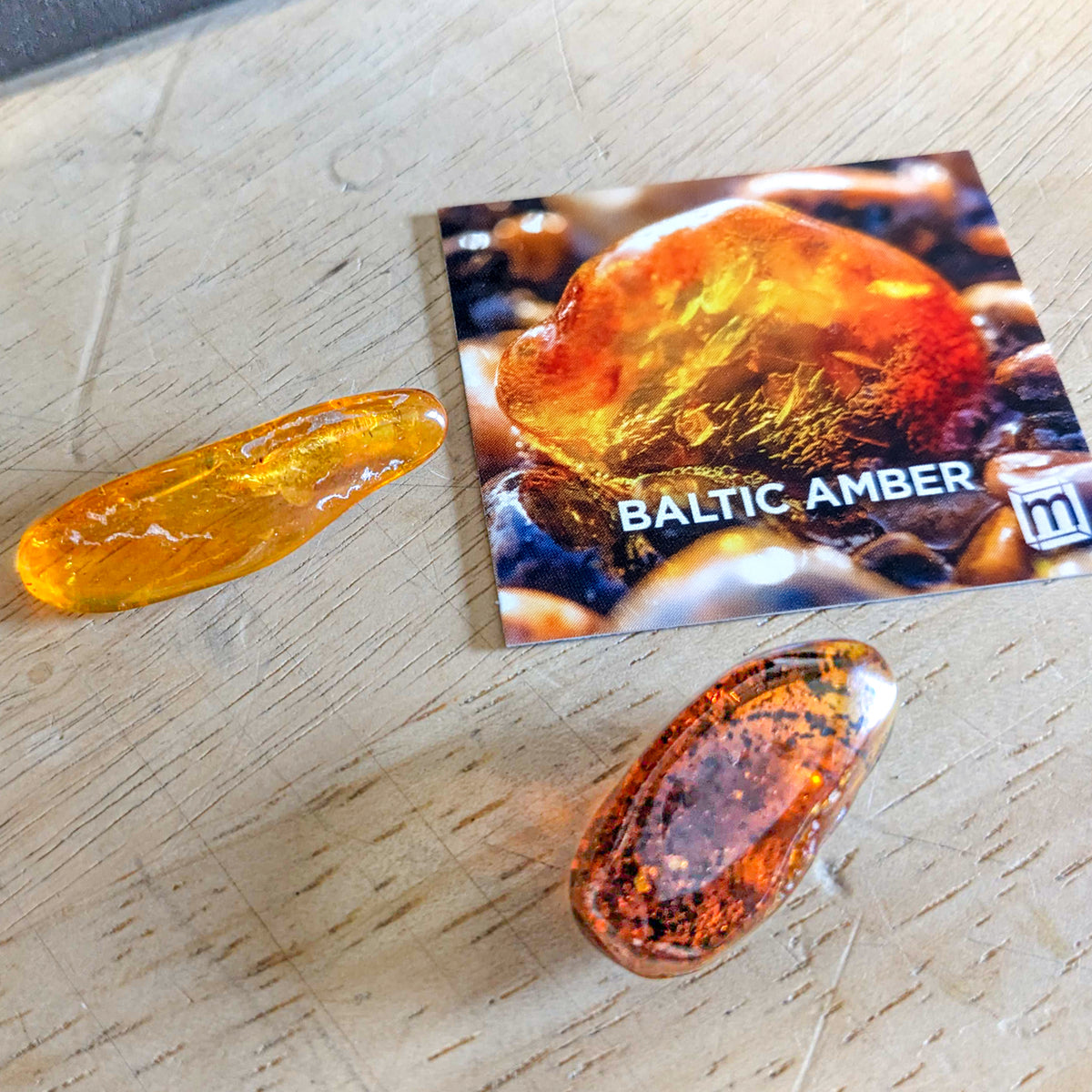 Baltic Amber Collectible Specimen, Includes Display Case - Mini Museum