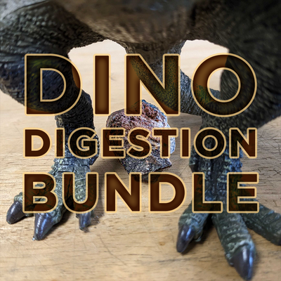 Dino Digestion Fossil Bundle