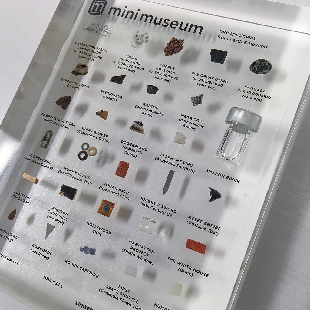 Mini Museum - Fourth Edition (LARGE - 29 Specimens)