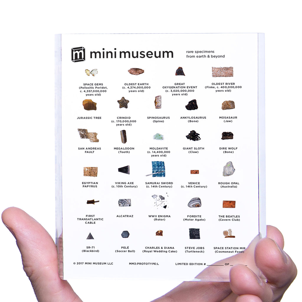 Mini Museum - Third Edition (LARGE - 29 Specimens)