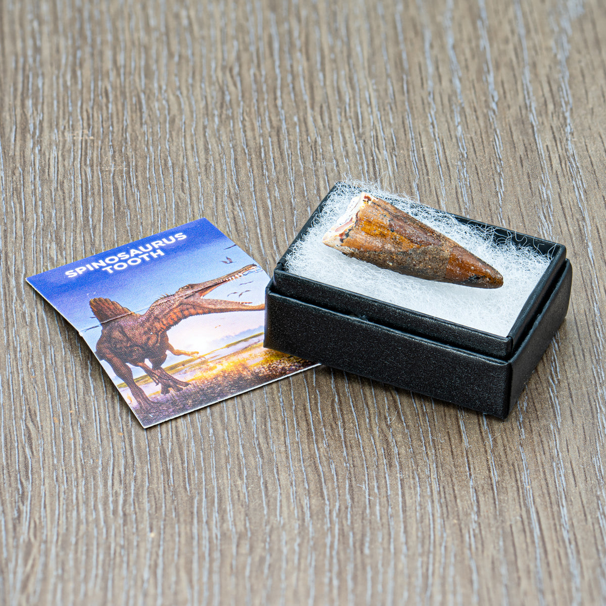 Mini Mesozoic Monsters Bundle