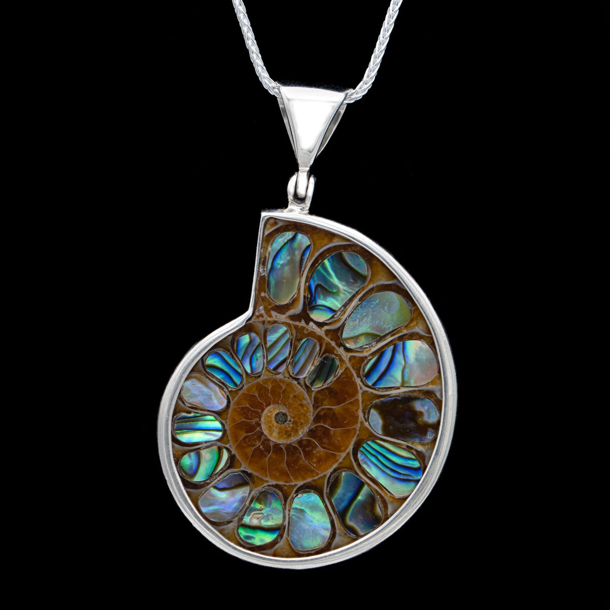 & Mini Museum Ammonite - Abalone Necklace