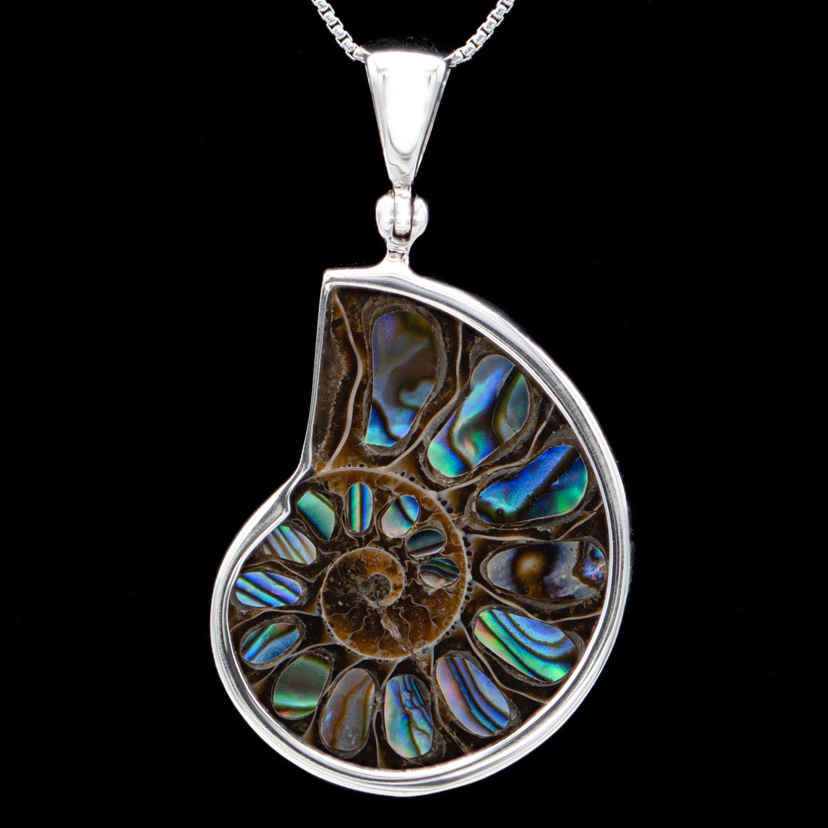 & Necklace Museum Mini Abalone Ammonite -