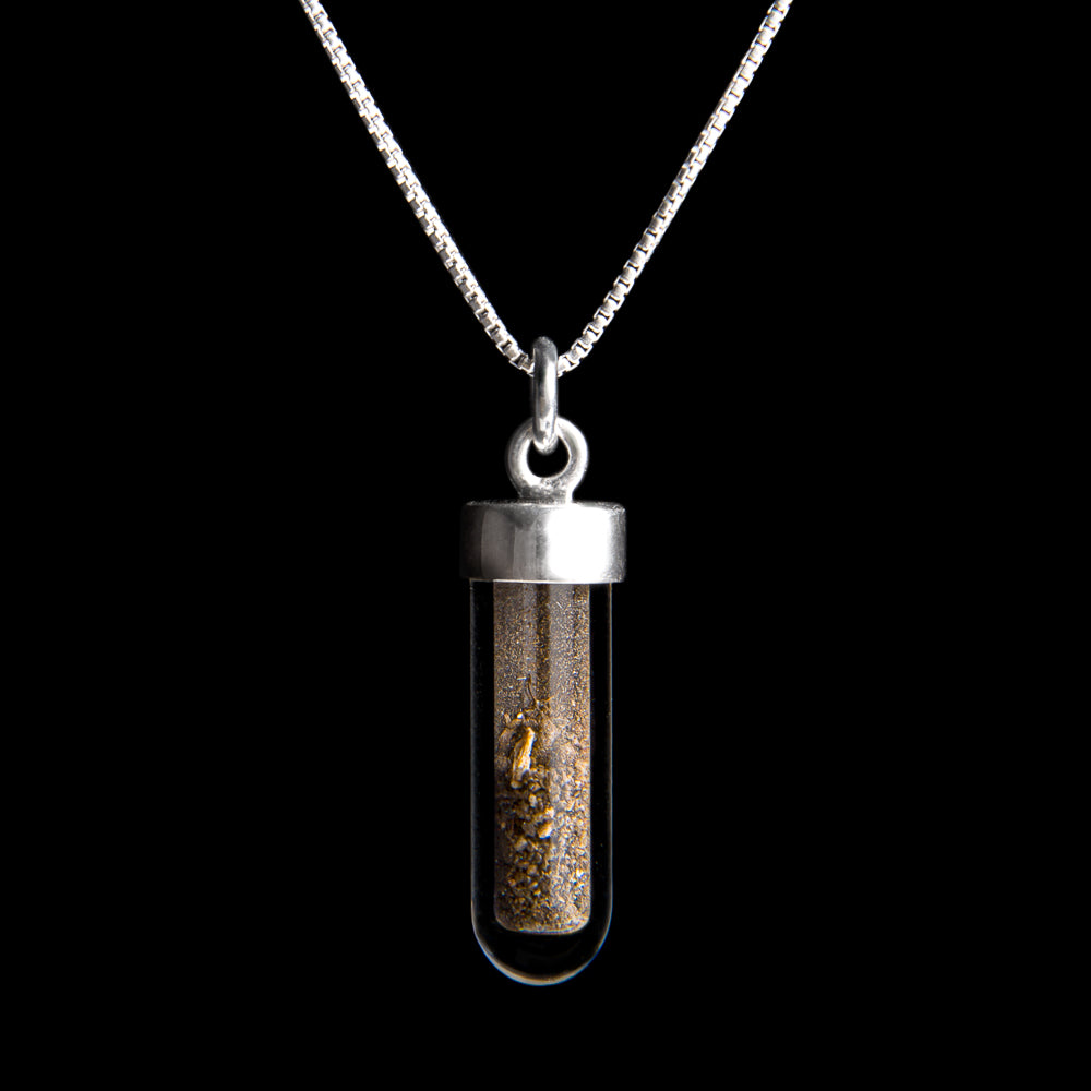 Dracula Soil Vial and Silver Necklace 🦇