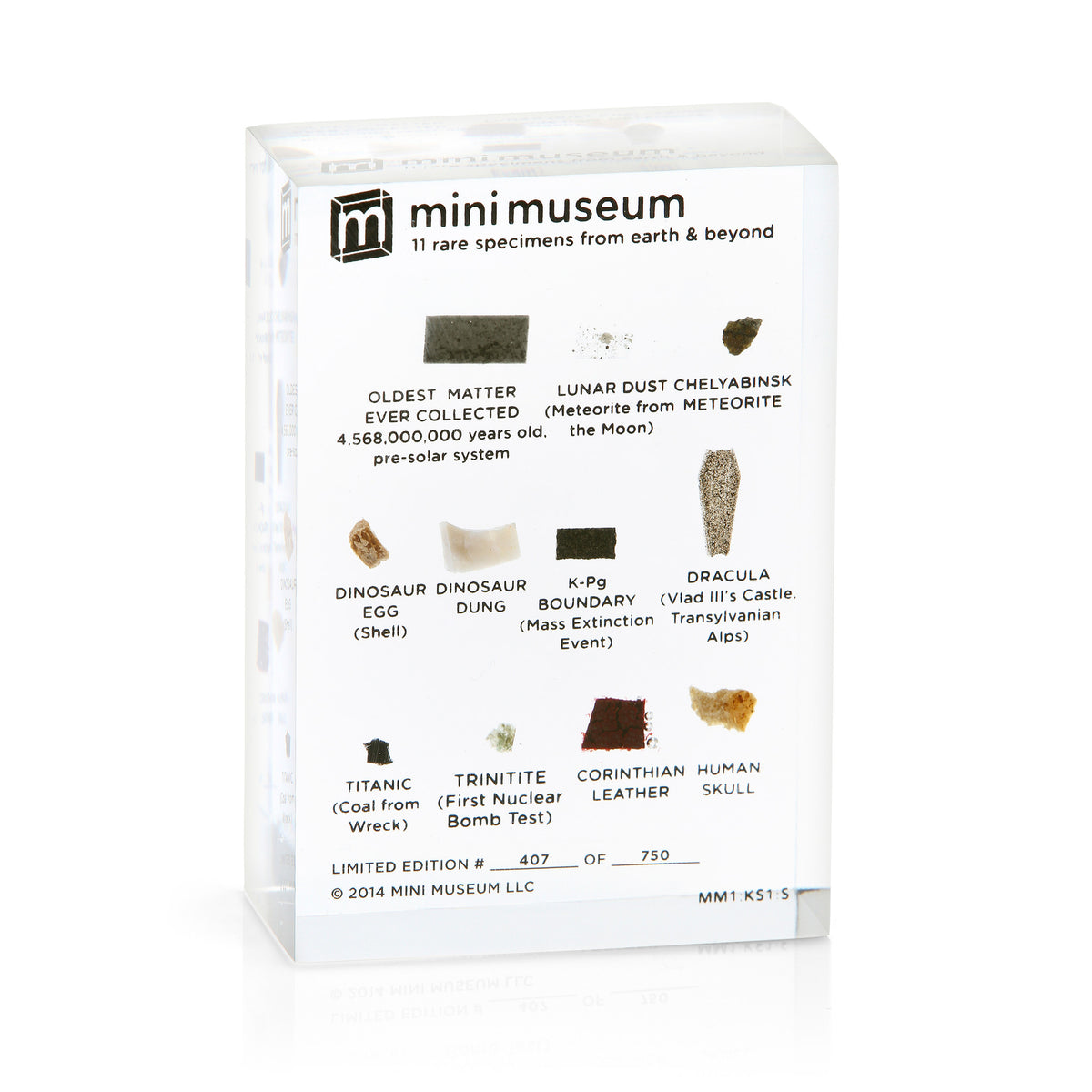 Mini Museum - First Edition (SMALL - 11 Specimens) | Mini Museum