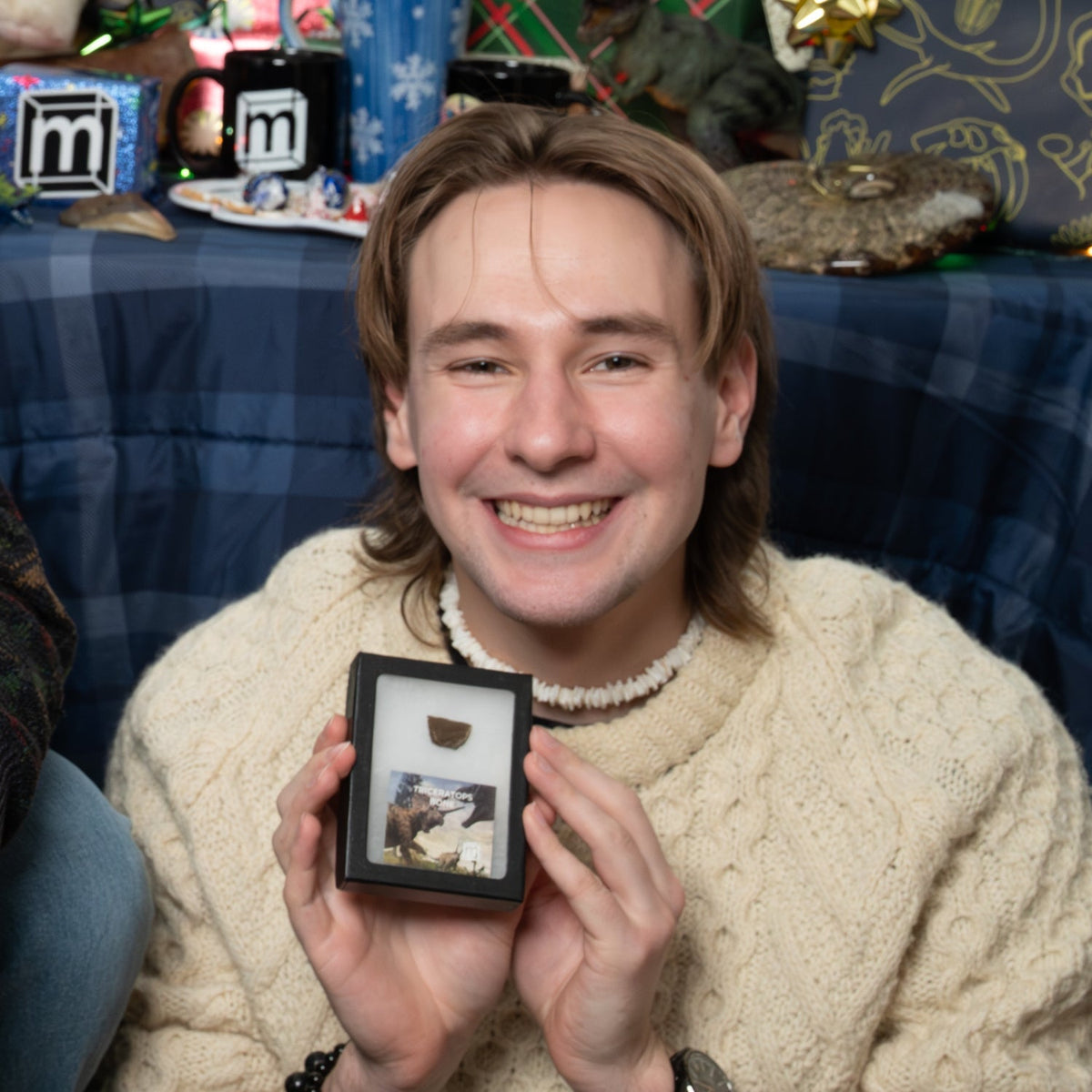 9 Best Dinosaur Fossil Gifts for 2025