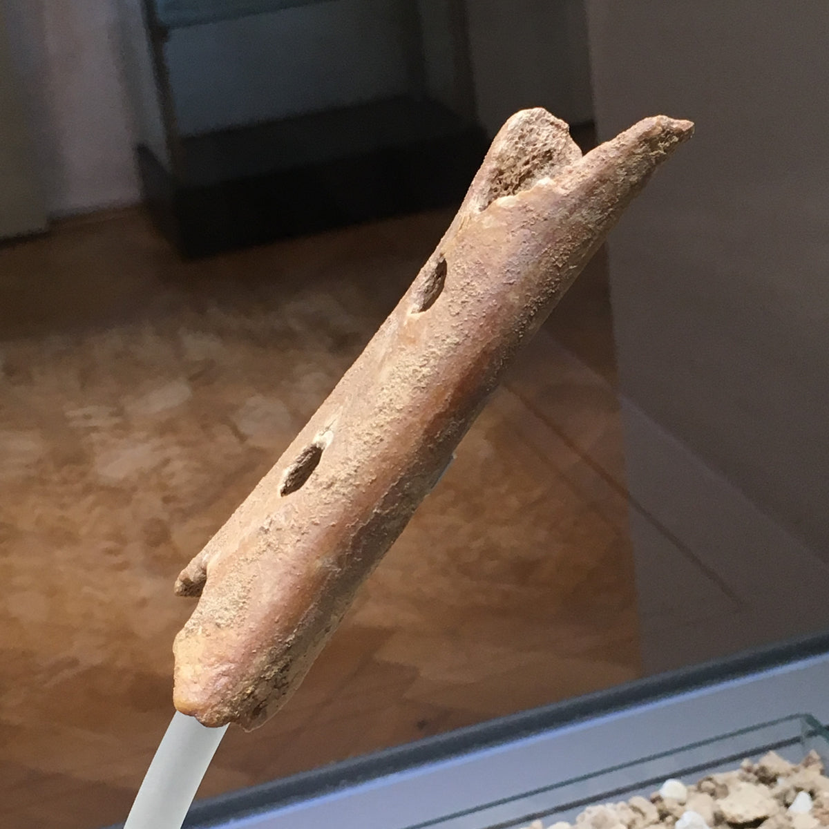 The First Musical Instrument