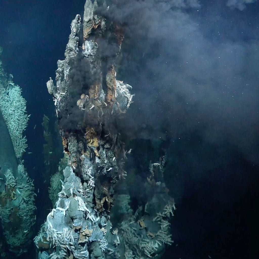 The Lost City of Hydrothermal Vents