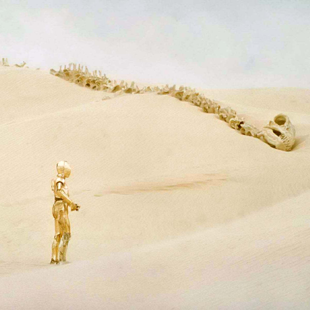 Creating Tatooine: Filming Star Wars in Tunisia