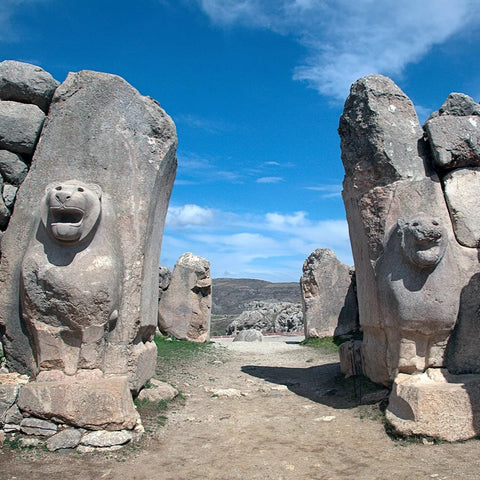 The Secrets of an Empire Hiding in a Tree