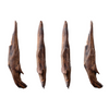 Neolithic Vegetarians: Learn About the Wooden Tools Used by Early Humans!