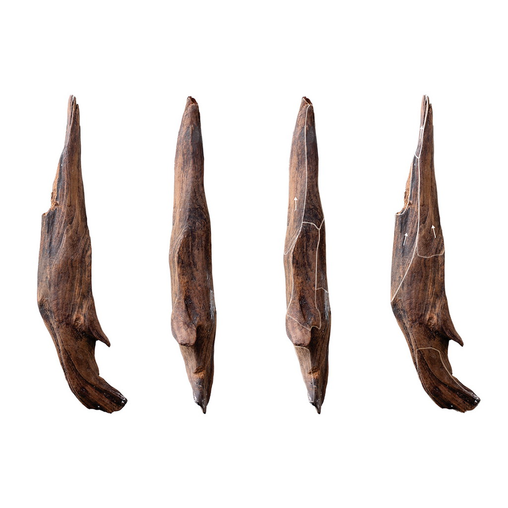 Neolithic Vegetarians: Learn About the Wooden Tools Used by Early Humans!