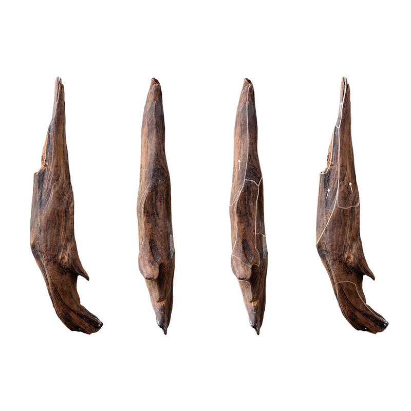Neolithic Vegetarians: Learn About the Wooden Tools Used by Early Humans!