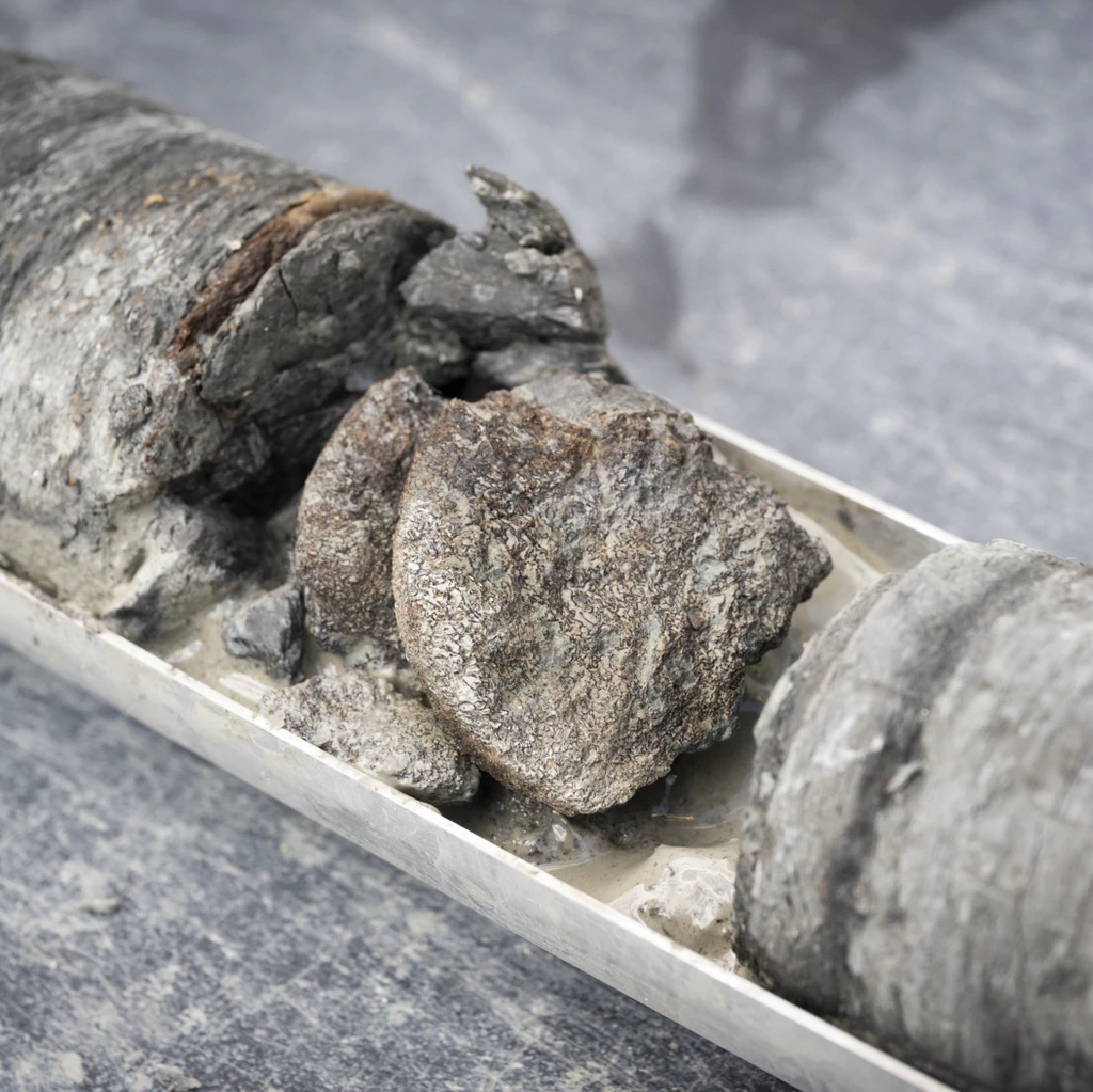Denver Museum Finds Dinosaurs in their Backyard!
