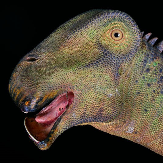The Dinosaur with 500 Teeth!