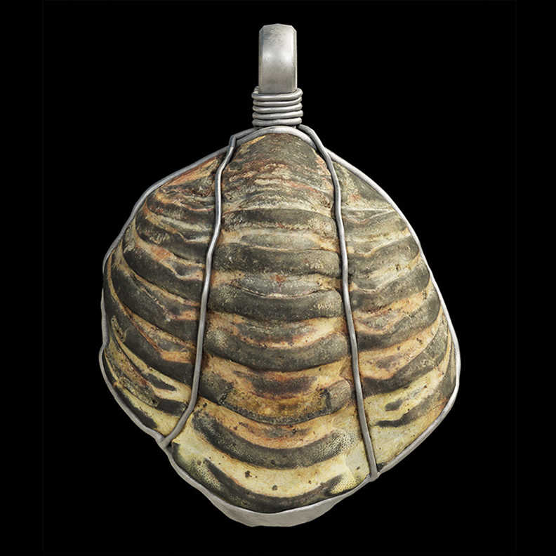 Scientists Discover First Ever Ancient Roman Trilobite!