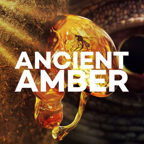 Prehistoric Amber