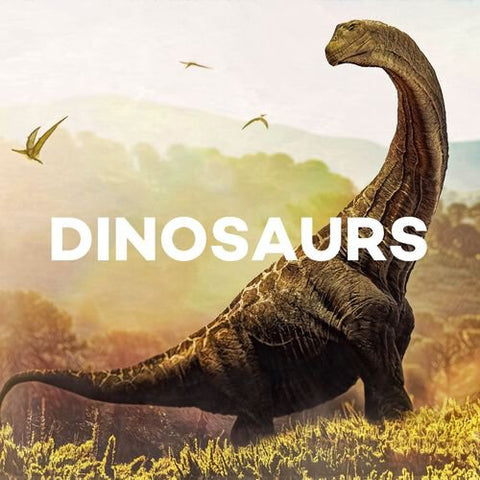 Dinosaurs