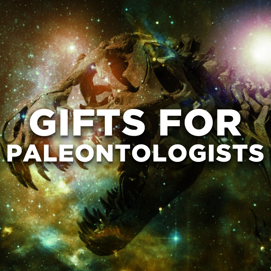 Gifts for Paleontologists!