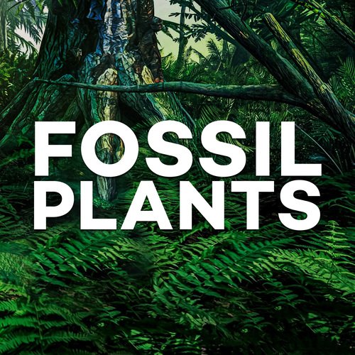 Fossil Plants