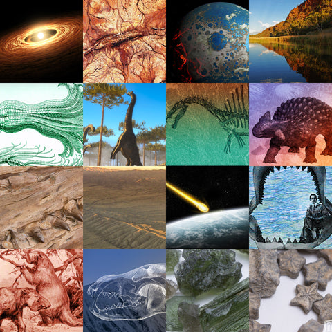 Gifts from Earth and Beyond!