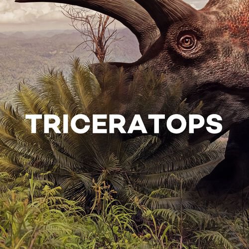 Triceratops