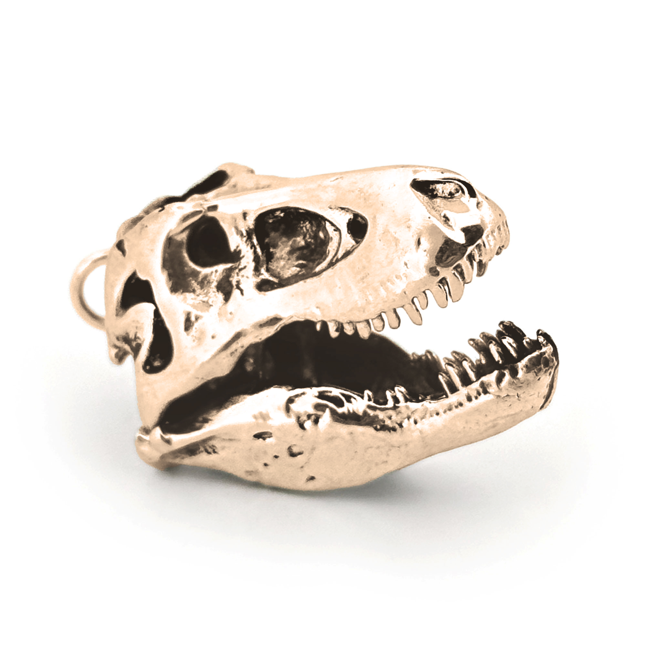 Tyrannosaurus Rex Skull Pendant