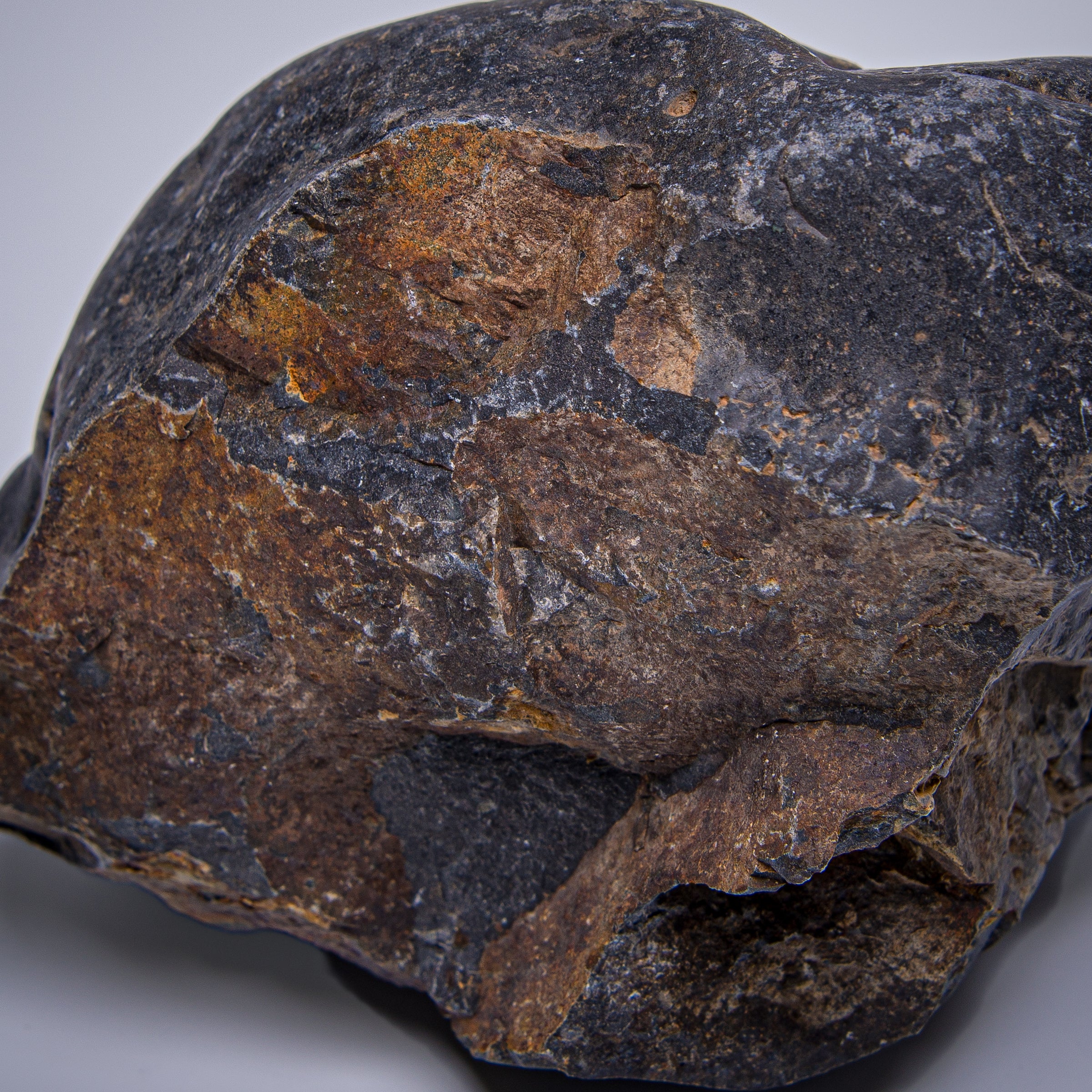 The Great Dying Extinction Event Siberian Traps Slab Collectible Specimen,  Includes Display Case - Mini Museum, image size:2400x2400