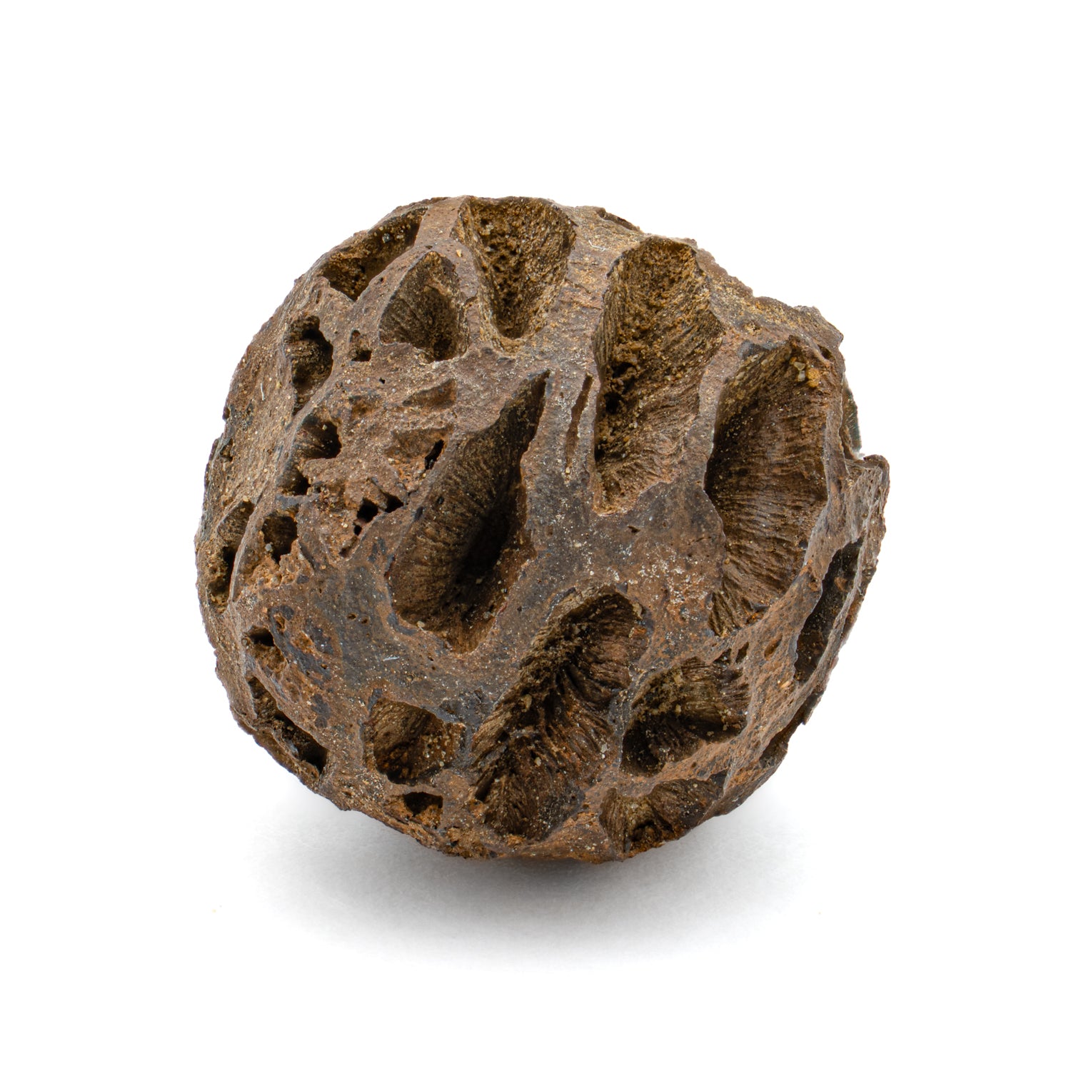 05610MFC250401-MAIN-001_1500x.