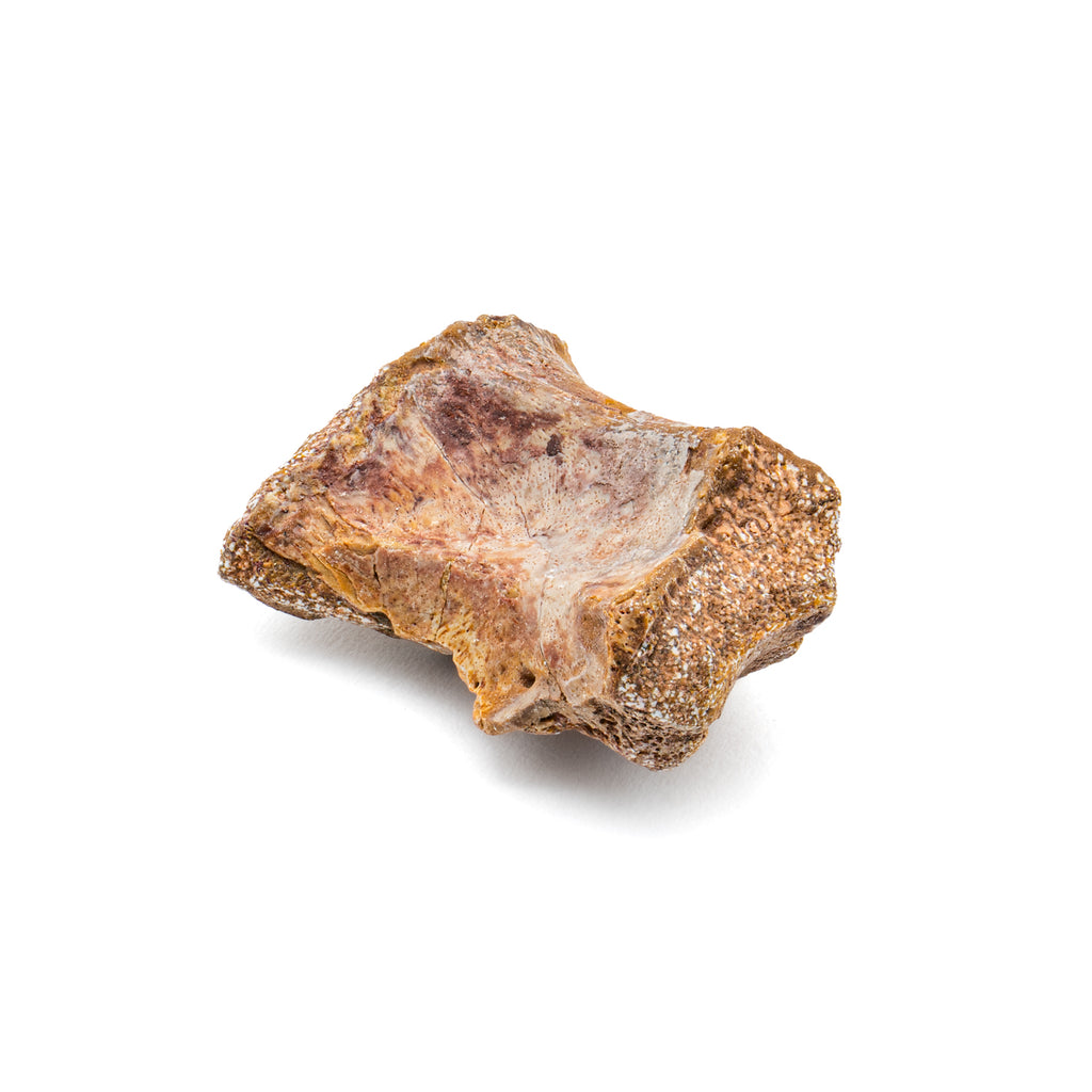 99 and Under Mini Museum