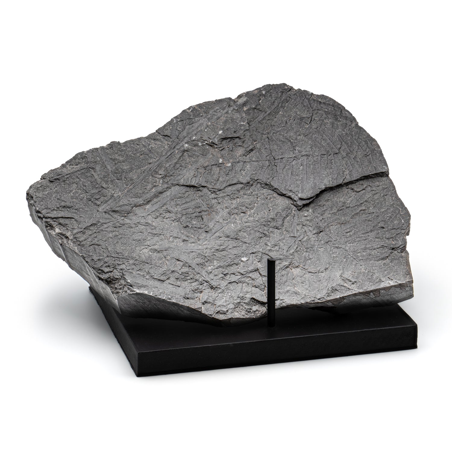 10795P221117-MAIN-002_1500x.