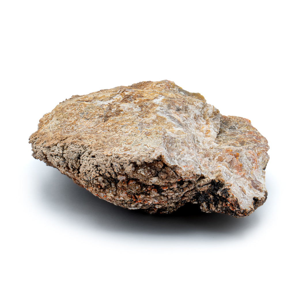 Dinosaur Dung (Coprolite) - 10.9oz 11" CIRCUMFERENCE