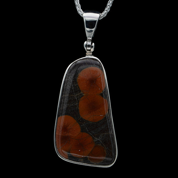 12105RPO241024-MAIN-003_grande