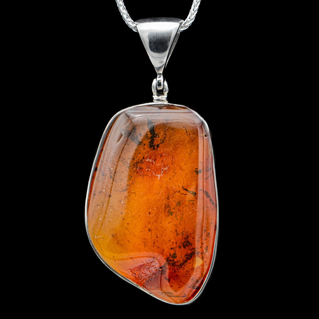 Insect in Amber Necklace - SOLD 1.26" Pendant