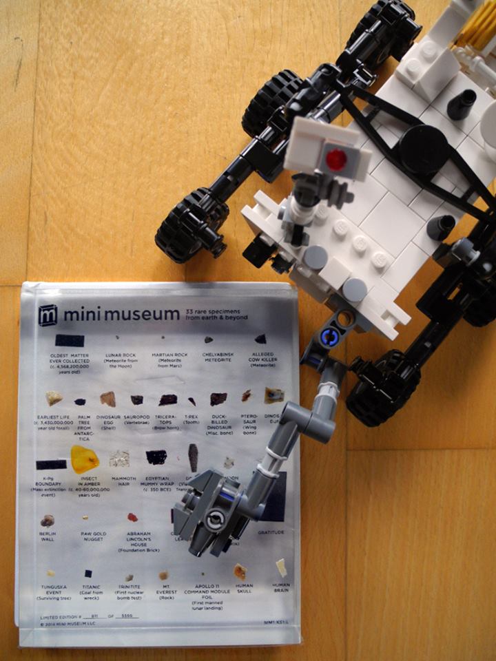 Mini Museum - First Edition (LARGE - 33 Specimens) | Mini Museum