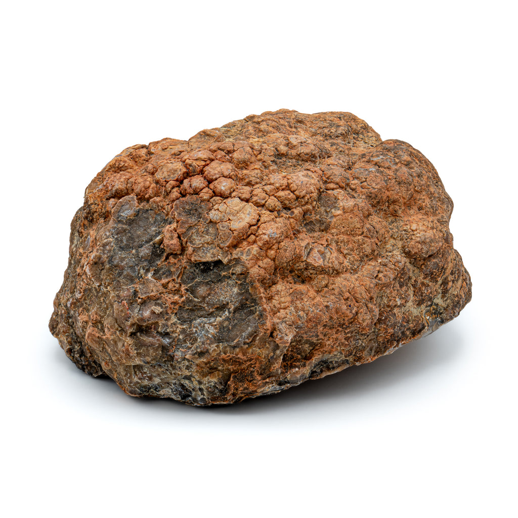 Dinosaur Dung (Coprolite) - 6.4 lb 19" CIRCUMFERENCE