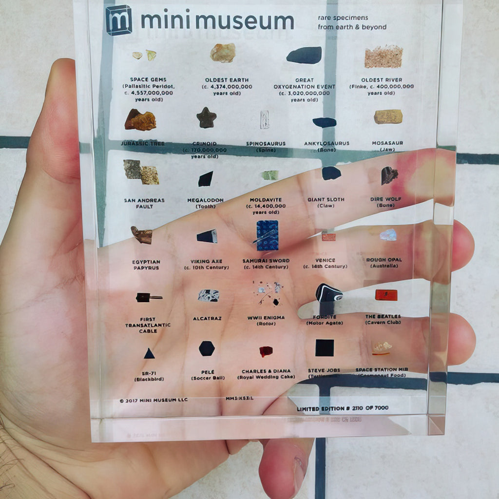 Mini Museum - Third Edition (LARGE - 29 Specimens)