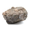 Dinosaur Dung (Coprolite) - 6.6lb 20.67