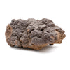 Dinosaur Dung (Coprolite) - 5.8lb 21.06