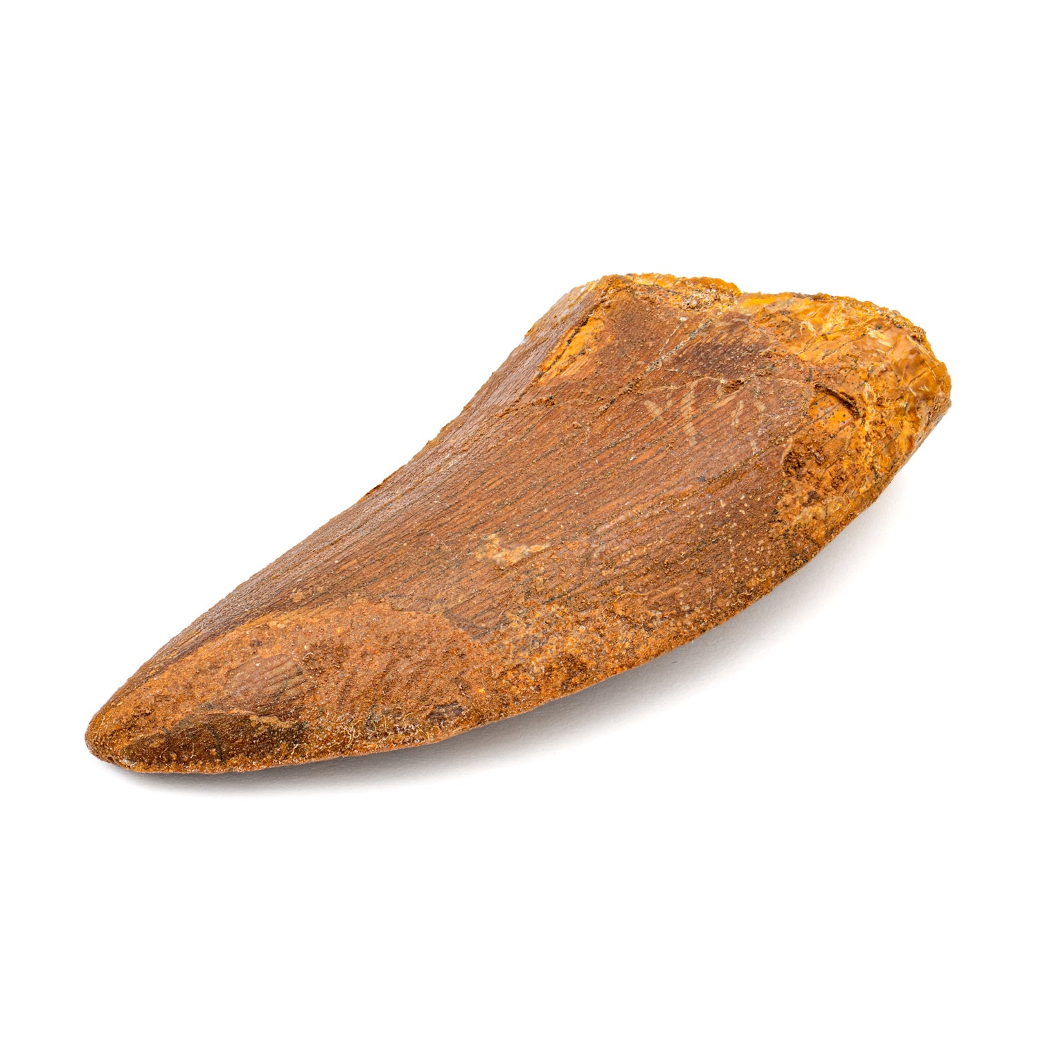 21900C220315-MAIN-002_1500x.