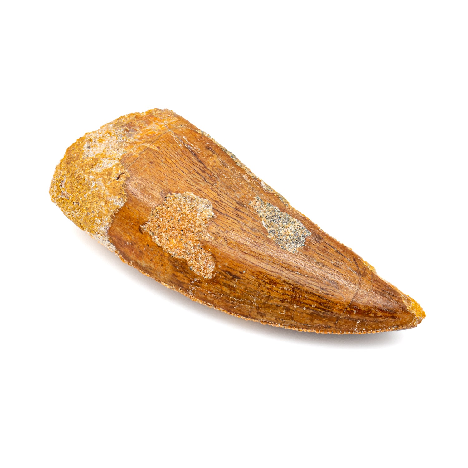 23135C220320-MAIN-007_1500x.