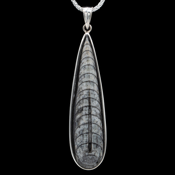 【HYERES LOR】23FW★ H edition Silver (W) Penidor Onyx Nc Orthoceras Pendant - Mini Museum