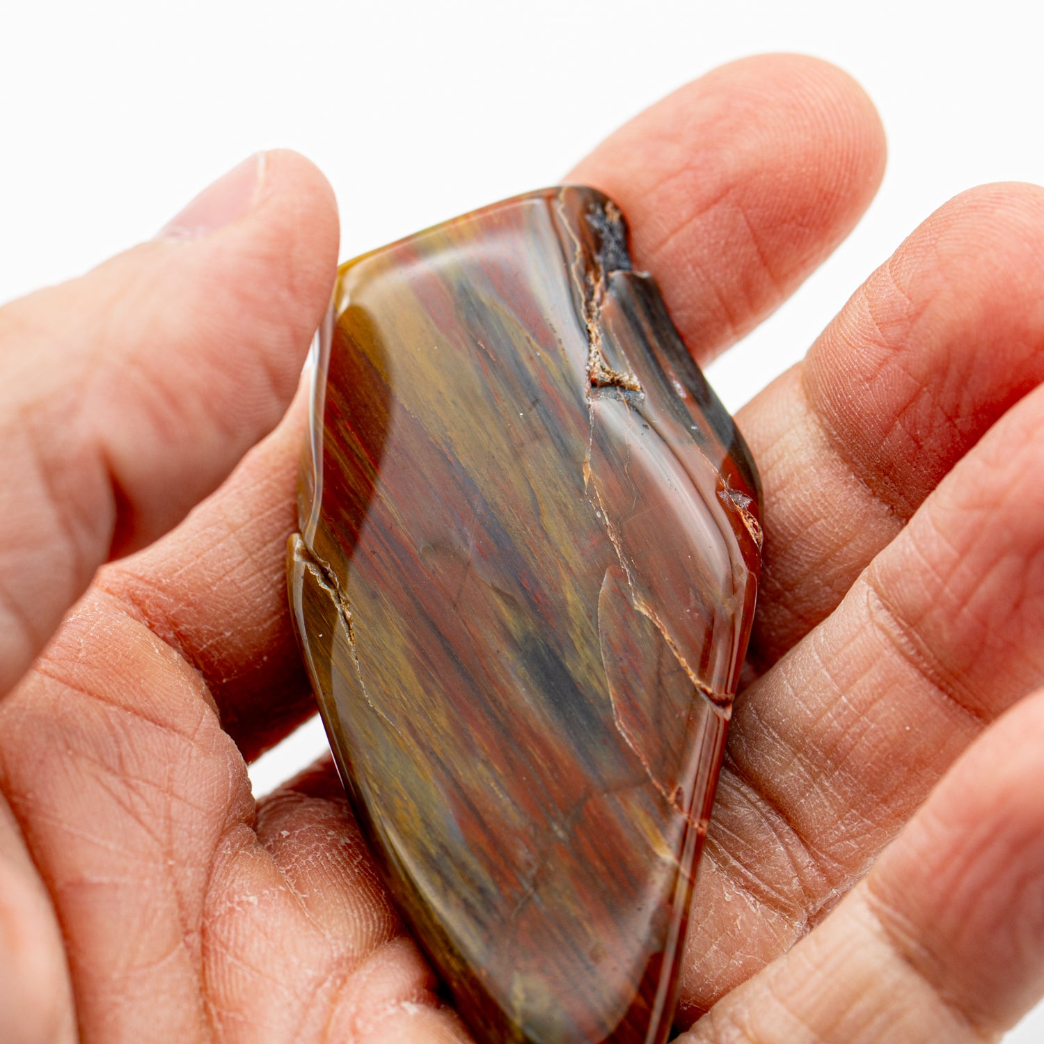Polished Petrified Wood SOLD
