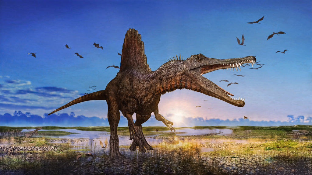 Spinosaurus Illustration - Yep, we know it needs a refresh. The definition has changed three times in the last year alone. 