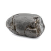 Megalodon Poop - 3.32