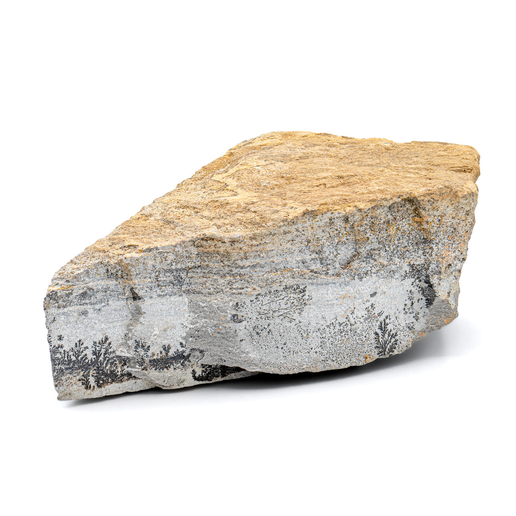 Dendrite Crystal Sandstone - SOLD 3.68"