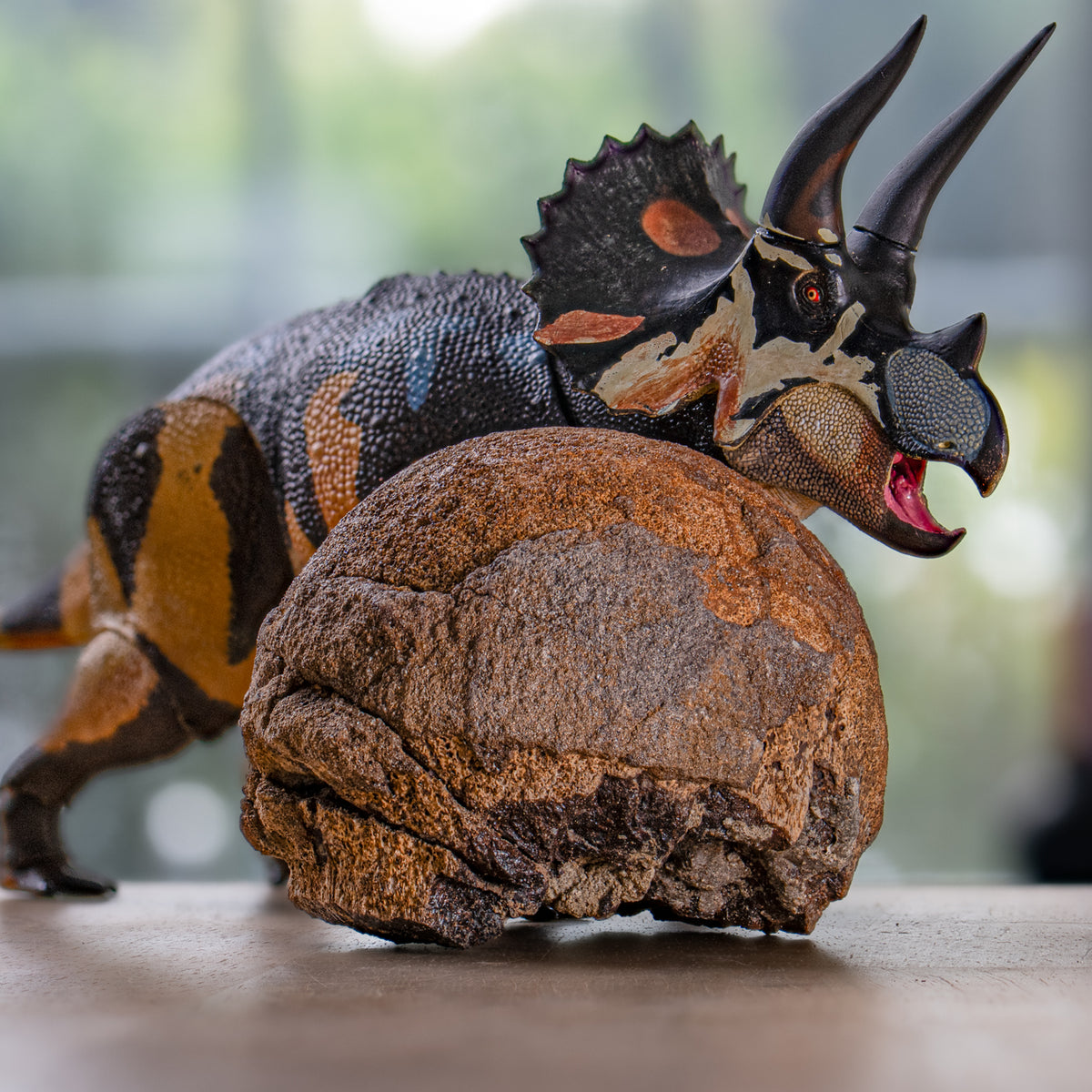 37935TRINJ250911-MAIN-